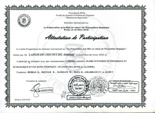 buydegree from the université mohamed boudiaf de m'sila
