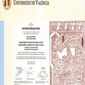 Buy college degree from the Universidad de Valencia